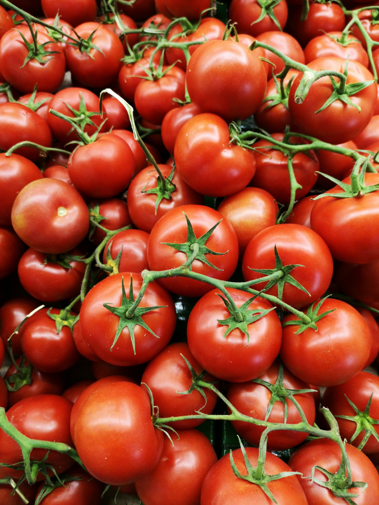 Tomato (4 pcs)